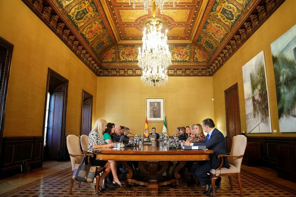 Reunión del Consejo de Gobierno, en el Palacio de San Telmo.