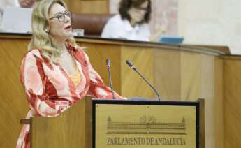 Carolina España, consejera de Hacienda y Fondos Europeos, en el Parlamento, donde defenderá hoy el Proyecto de Ley de Presupuestos.