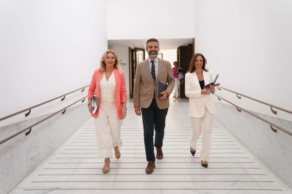 Carolina España, consejera de Hadcienda, Ramón Fernández Pacheco, consejero portavoz, y Rocío Díaz, consejera de Fomento y Vivienda a su llegada a la rueda de prensa del Consejo de Gobierno,