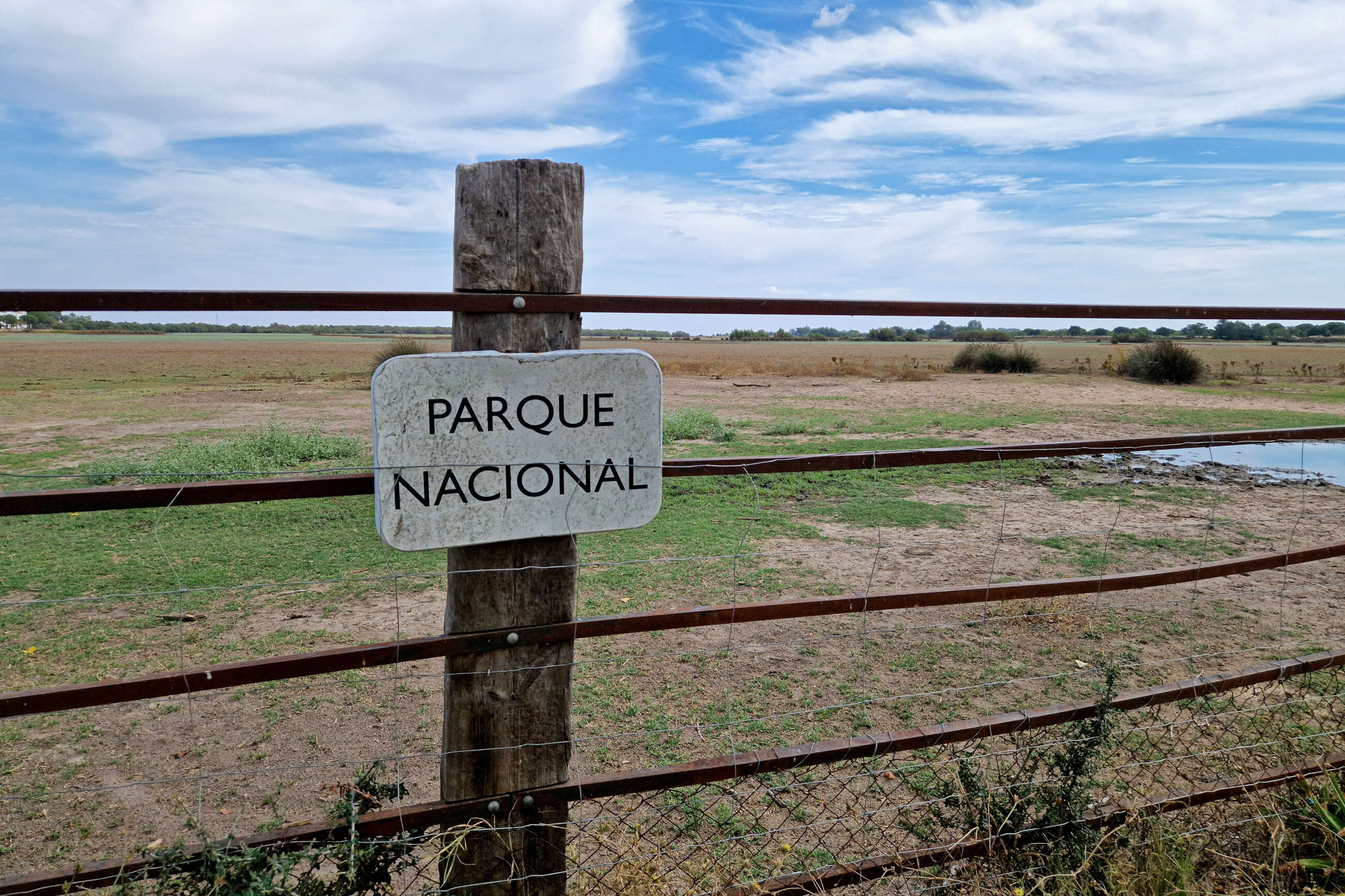 Vista del Parque Nacional de Doñana desde la localidad de Almonte (Huelva). EFE/ Laura Ramírez