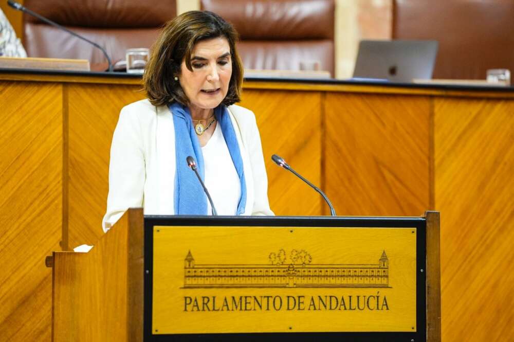 Rocío Blanco, consejera de Empleo, en el salón de Plenos del Parlamento. Foto: Consejería de Empleo, Empresa y Trabajo Autónomo