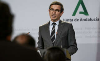 El consejero de Industria, Energía y Minas, Jorge Paradela, en la comparecencia tras una reunión del Consejo de Gobierno de la Junta de Andalucía.