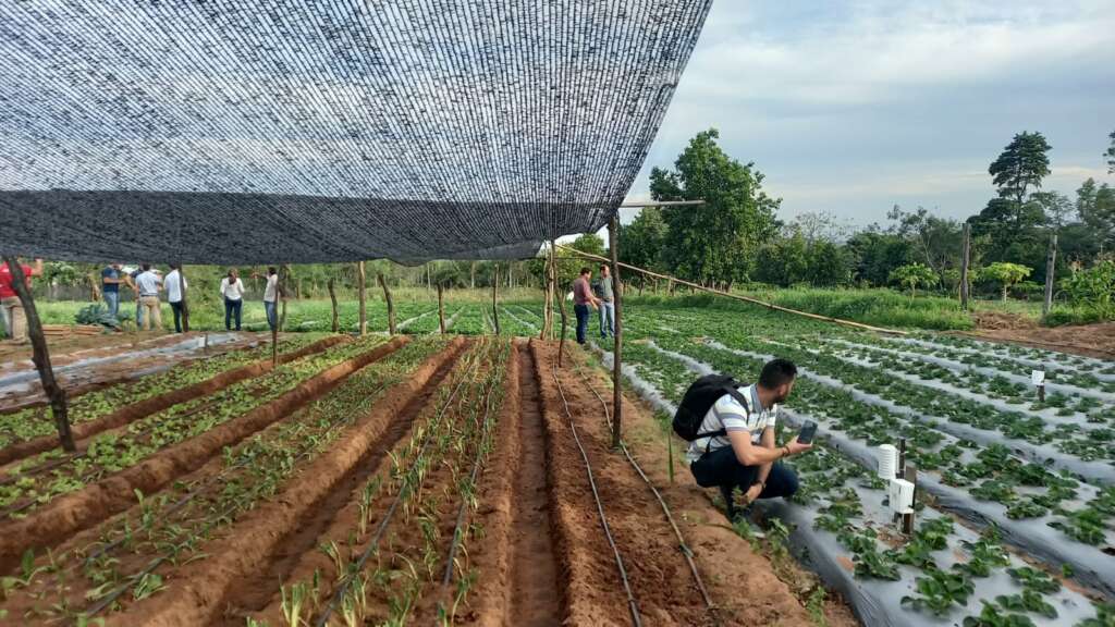 Nodos inteligentes implementados en el campo. Foto: Universidad Loyola