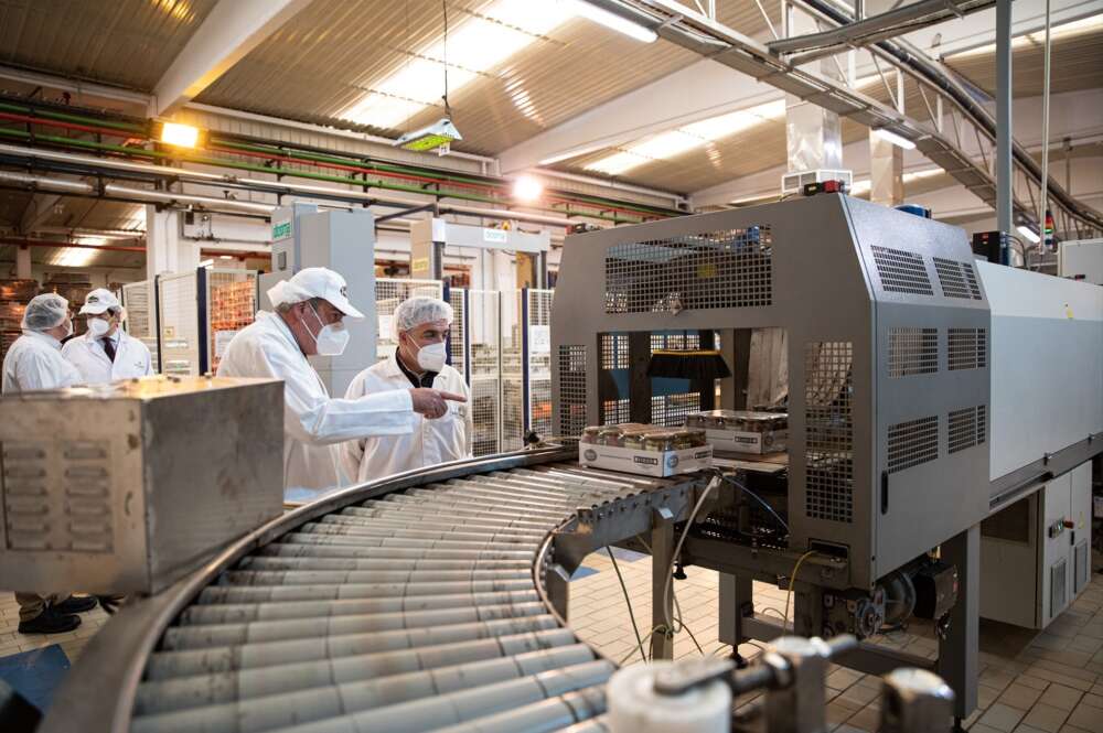 Instalaciones de la empresa de aceitunas Ángel Camacho en Morón de la Frontera (Sevilla).