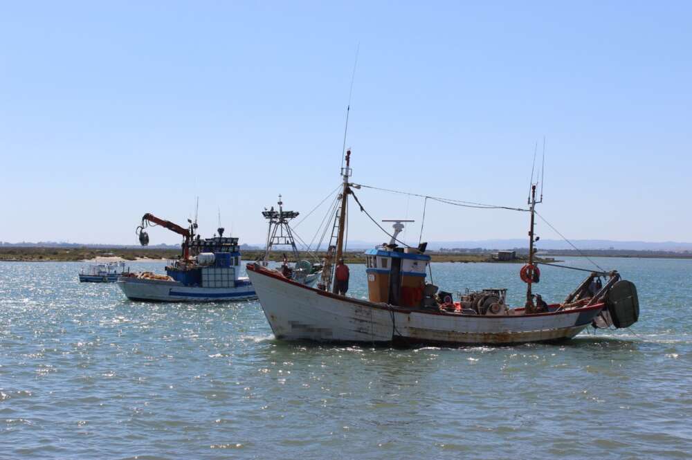 Barcos de pesca.