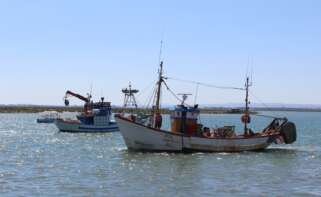 Barcos de pesca.