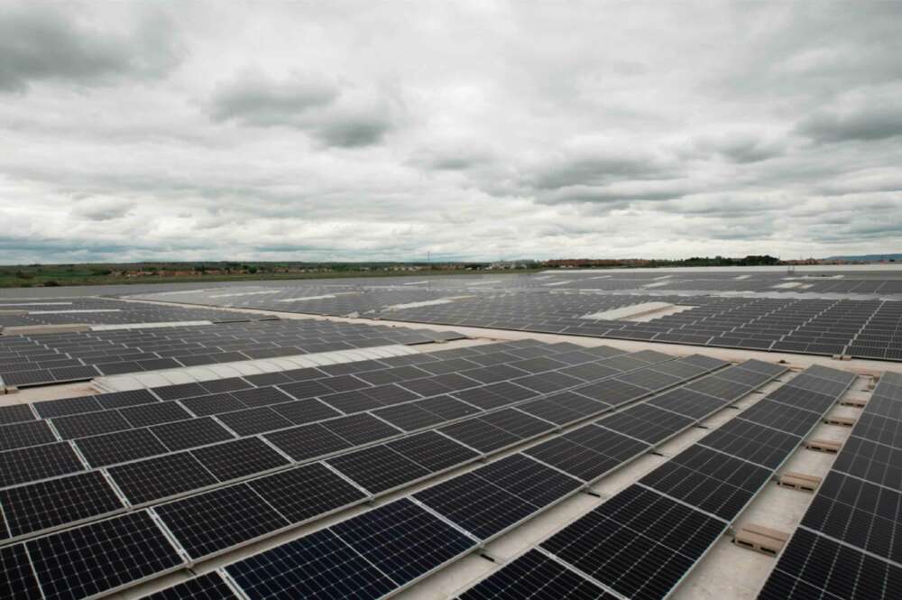 Placas solares de Greening Group. Imagen: Greening