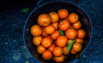 Naranjas recogidas en Sevilla