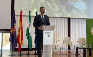 Ramón Fernández-Pacheco, consejero de Agricultura, Pesca, Agua y Desarrollo Rural, durante la presentación de la I Estrategia Andaluza del Olivar