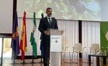 Ramón Fernández-Pacheco, consejero de Agricultura, Pesca, Agua y Desarrollo Rural, durante la presentación de la I Estrategia Andaluza del Olivar