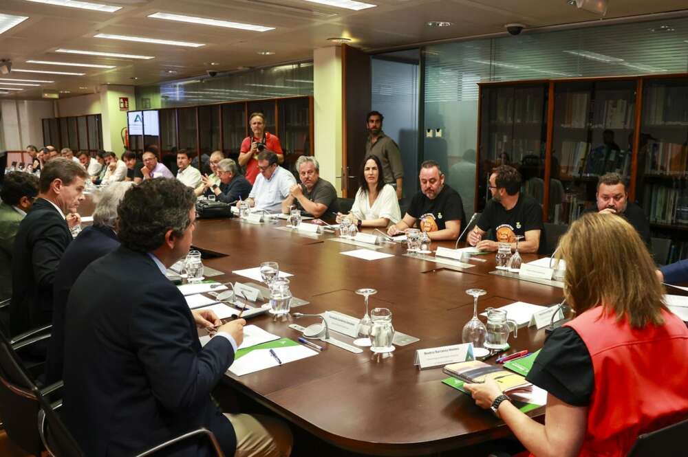 Representantes sindicales de Acerinox durante una reunión mantenida con la empresa en la consejería de Empleo, Empresa y Trabajo Autónomo en junio.