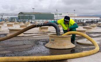 Un trabajador en las instalaciones de aceituna de mesa de Dcoop en Monturque (Córdoba).