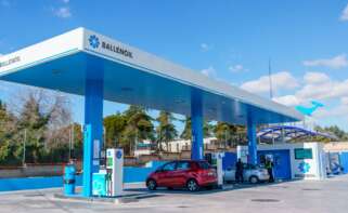 Una gasolinera de Ballenoil