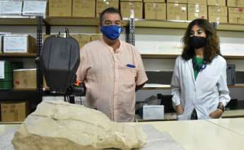 El Museo Arqueológico y de Historia de Elche (MAHE) colabora con el Instituto Valenciano de Conservación, Restauración e Investigación (IVCR+i) en el análisis de una talla de piedra de la época ibera hallada por un agricultor en una pedanía ilicitana para determinar los materiales y policromía. Foto: EFE