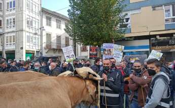 Protesta de ganaderos en Lugo / Agromuralla