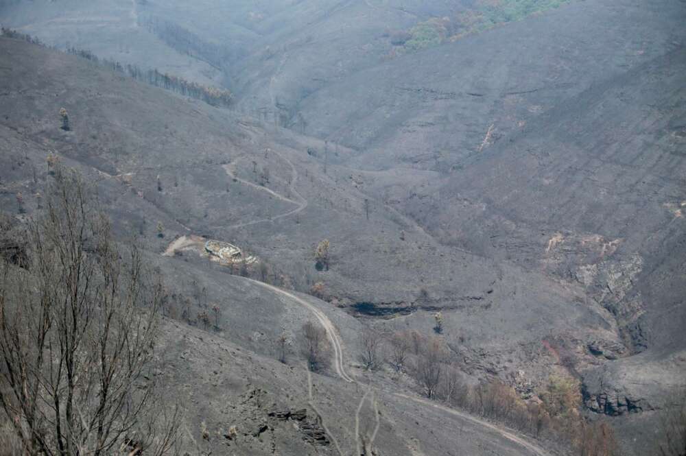 Vista general de la zona afectada por el fuego de Folgoso do Courel