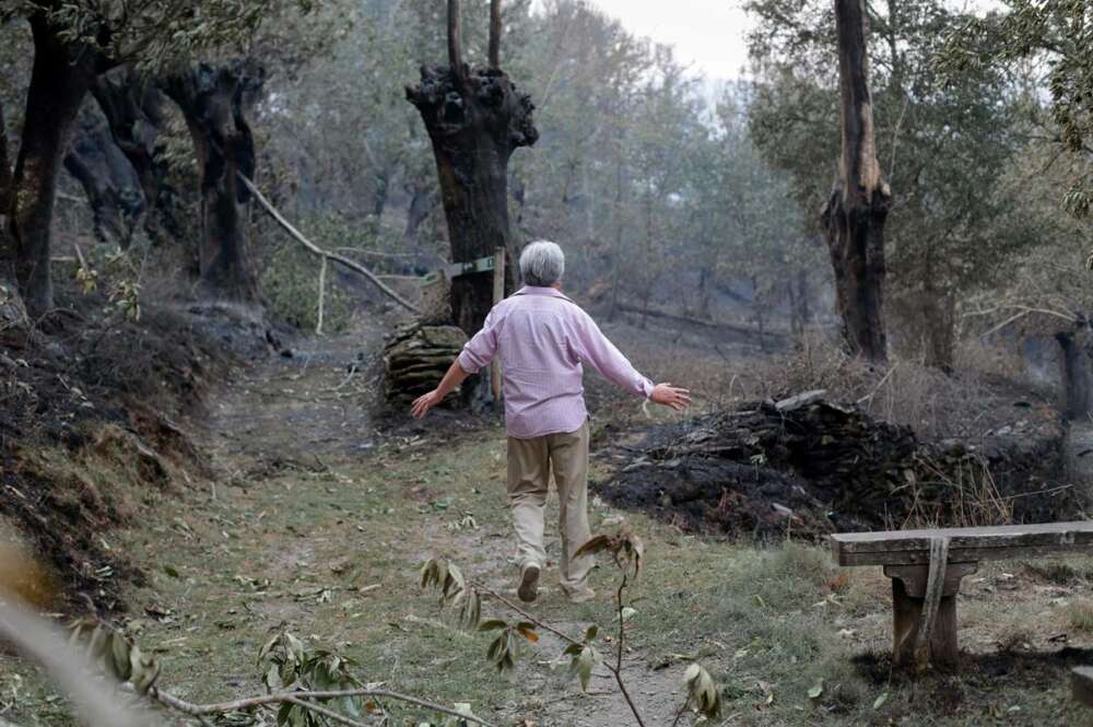 Una persona camina por una de las zonas quemadas por el incendio de Folgoso do Courel,