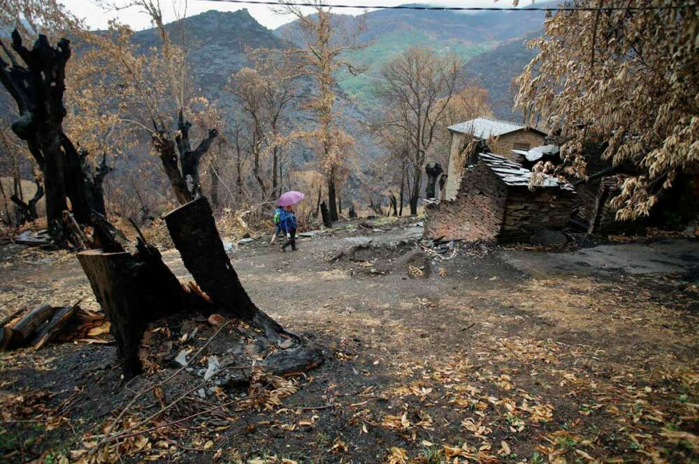 Dos personas pasean por una zona arrasada por el fuego, a 16 de agosto de 2022, en O Courel, Lugo, Galicia (España)