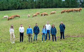 El equipo de especialistas de Reganosa, Repsol, Naturgy e Impulsa Galicia están llevando a cabo trabajos técnicos en distintas granjas para diseñar el desarrollo del proyecto que transformaría excedentes de purín y otros residuos en biometano y fertilizantes orgánicos