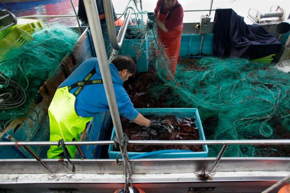 Pescadores descargan el pescado y el marisco capturado en el Puerto de Burela