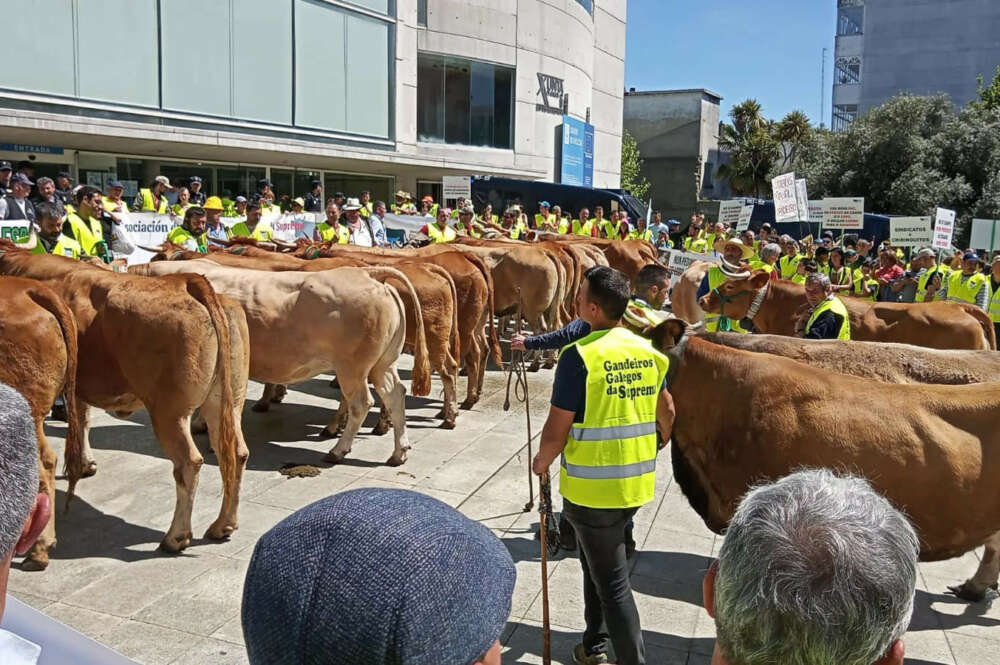 Protesta de ganaderos frente a la sede de la Xunta / Gandeiros Galegos da Suprema