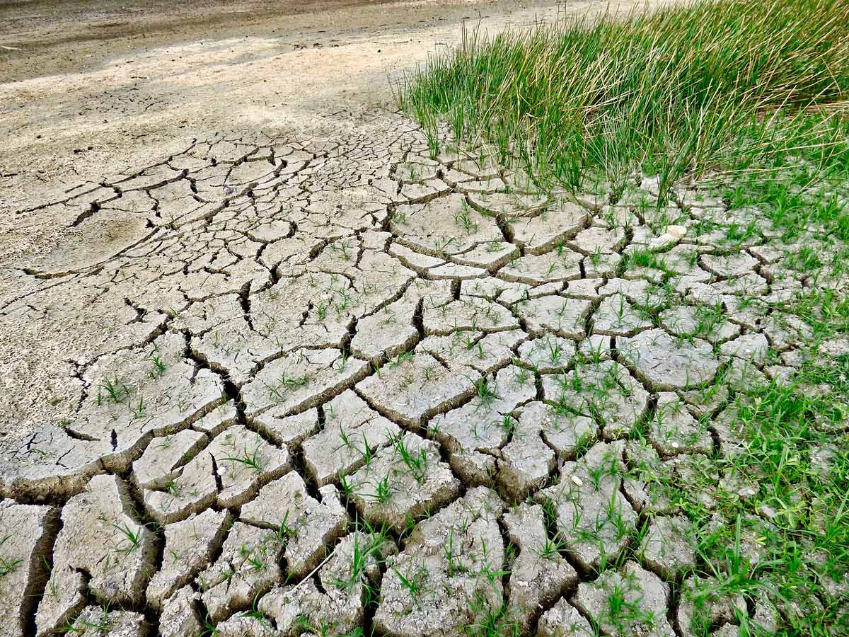 o governo declara situação de seca severa em 40% do território » Galiza