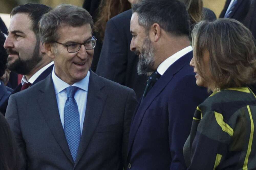 Alberto Núñez Feijóo y Santiago Abascal / EFE