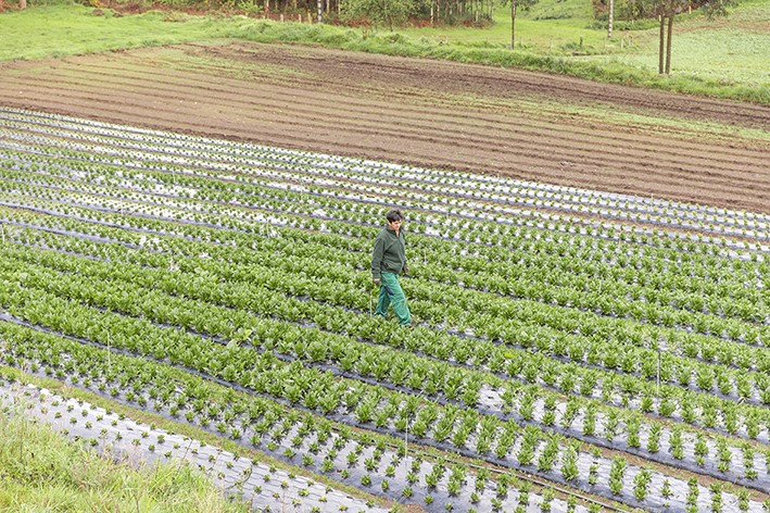 Vegalsa-Eroski alcanza los 455 millones en compras a productores locales