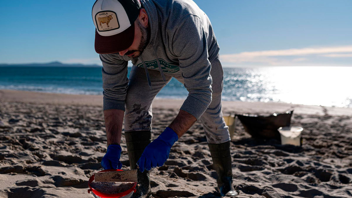 Voluntarios hacen una recogida de pellets de la arena, Galicia, a 7 de enero de 2024, en A Coruña, Galicia (España)