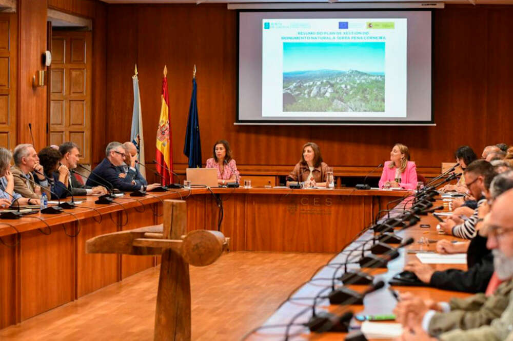 Reunión del Consello Galego de Medio Ambiente (Cogamads