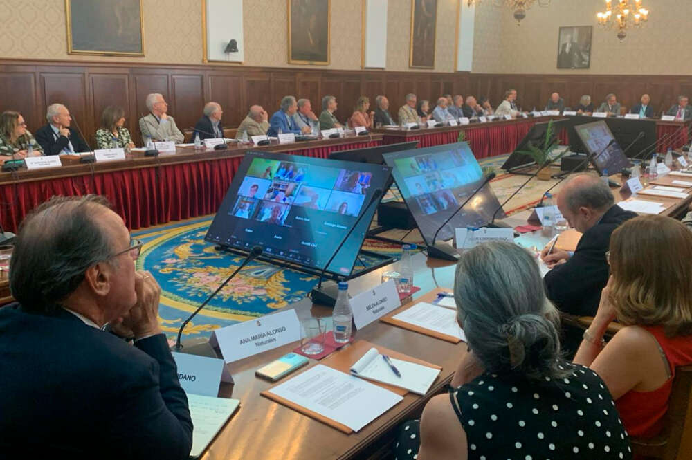 Jornada “Transferencia: la asignatura pendiente del sistema español de ciencia y tecnología” de la RAC en la que ha pàrticipado Inmaculada Rodríguez, directora de Unirisco