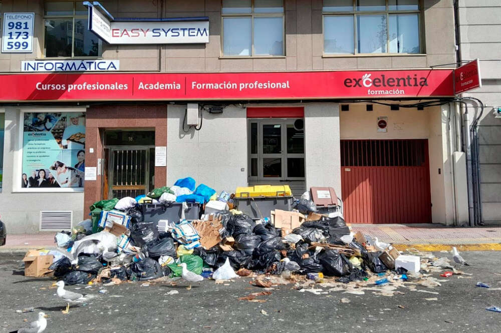 Basura acumulada en una calle de A Coruña, rodeada de gaviotas