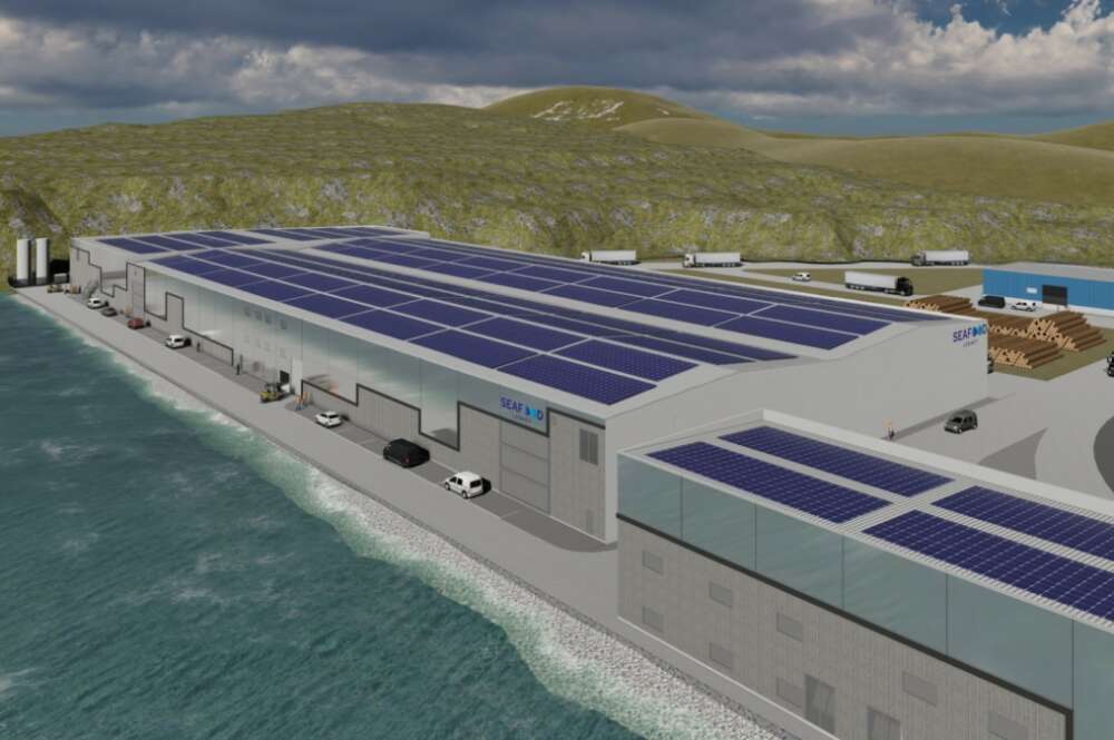 Imagen del proyecto de Seafood Legacy en Burela / Impulso