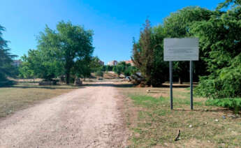 San José construirá el Bosque Miyawaki en Alcobendas, Madrid