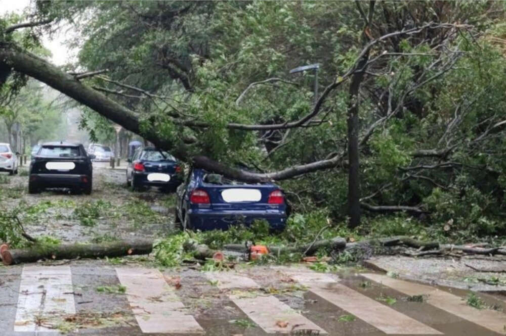 Un árbol daña un vehículo a consecuencia del fuerte viento de la borrasca Kirk en el campus universitario de Santiago / Europa Press