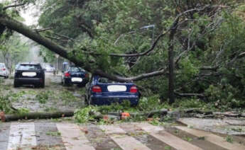 Un árbol daña un vehículo a consecuencia del fuerte viento de la borrasca Kirk en el campus universitario de Santiago / Europa Press