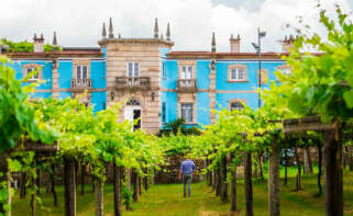 Bodega Granbazán