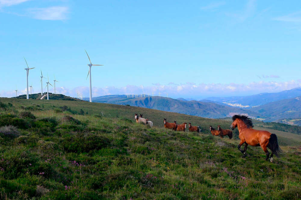 Parque eólico Ourol de Ecoener