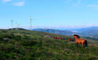 Parque eólico Ourol de Ecoener