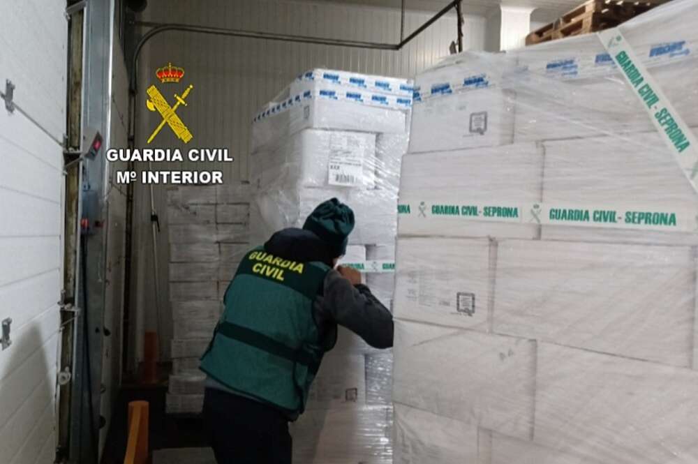 Intervenidas 270 toneladas de productos del mar congelados e investigadas 13 personas en Pontevedra / Guardia Civil de Pontevedra