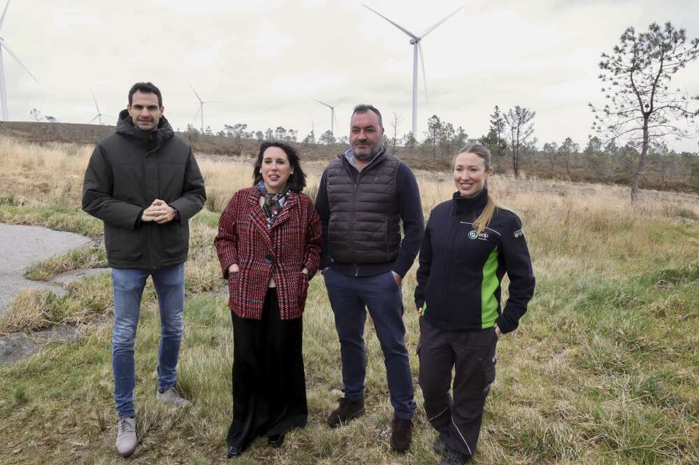 La conselleira de Economía e Industria, María Jesús Lorenzana, visita un parque de EDP repotenciado