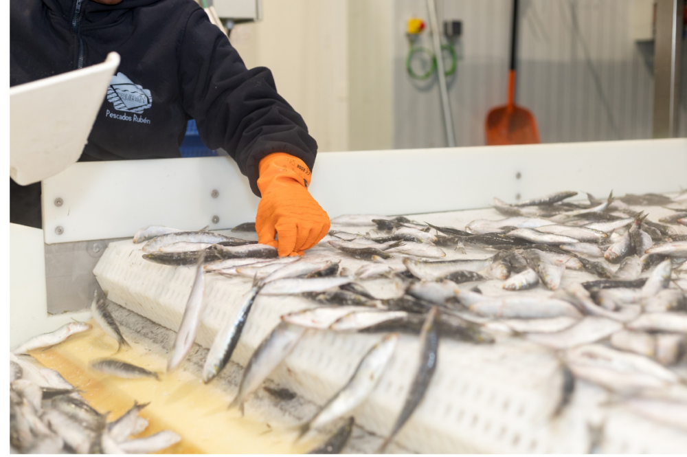 Quiebra la empresa lucense Pescados Rubén, con sede en Foz y 80 trabajadores