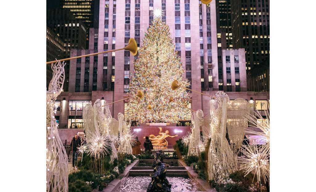 Cuáles son los árboles de Navidad más bonitos del mundo