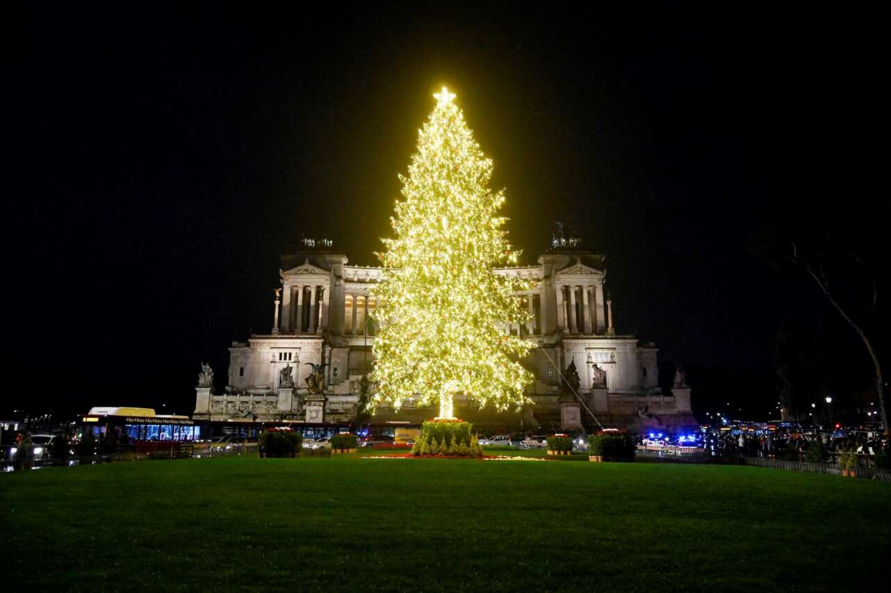 Cuáles son los árboles de Navidad más bonitos del mundo
