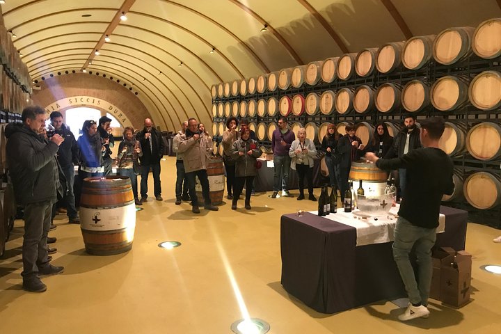 Visita a una de las bodegas del tour en Zaragoza, una de las mejores catas de vinos en Zaragoza