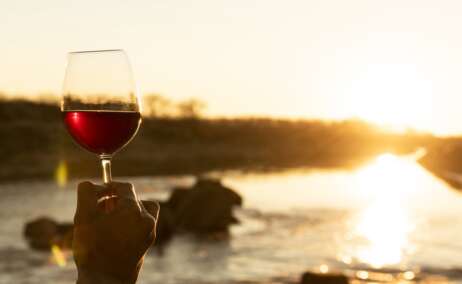 Un hombre sujeta una copa de vino en la naturaleza