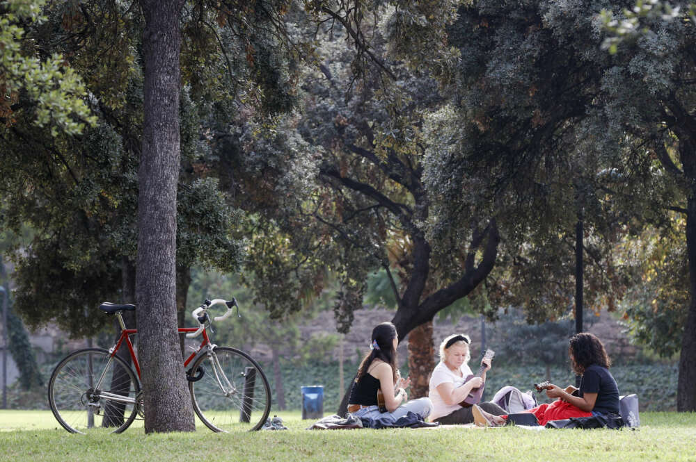 Varias personas descansan en el Jardín del Turia (Valencia), en el antiguo cauce del río. EFE/ Kai Forsterling