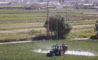 Un agricultor fumiga con su tractor un campo de hortalizas en el área metropolitana de valencia