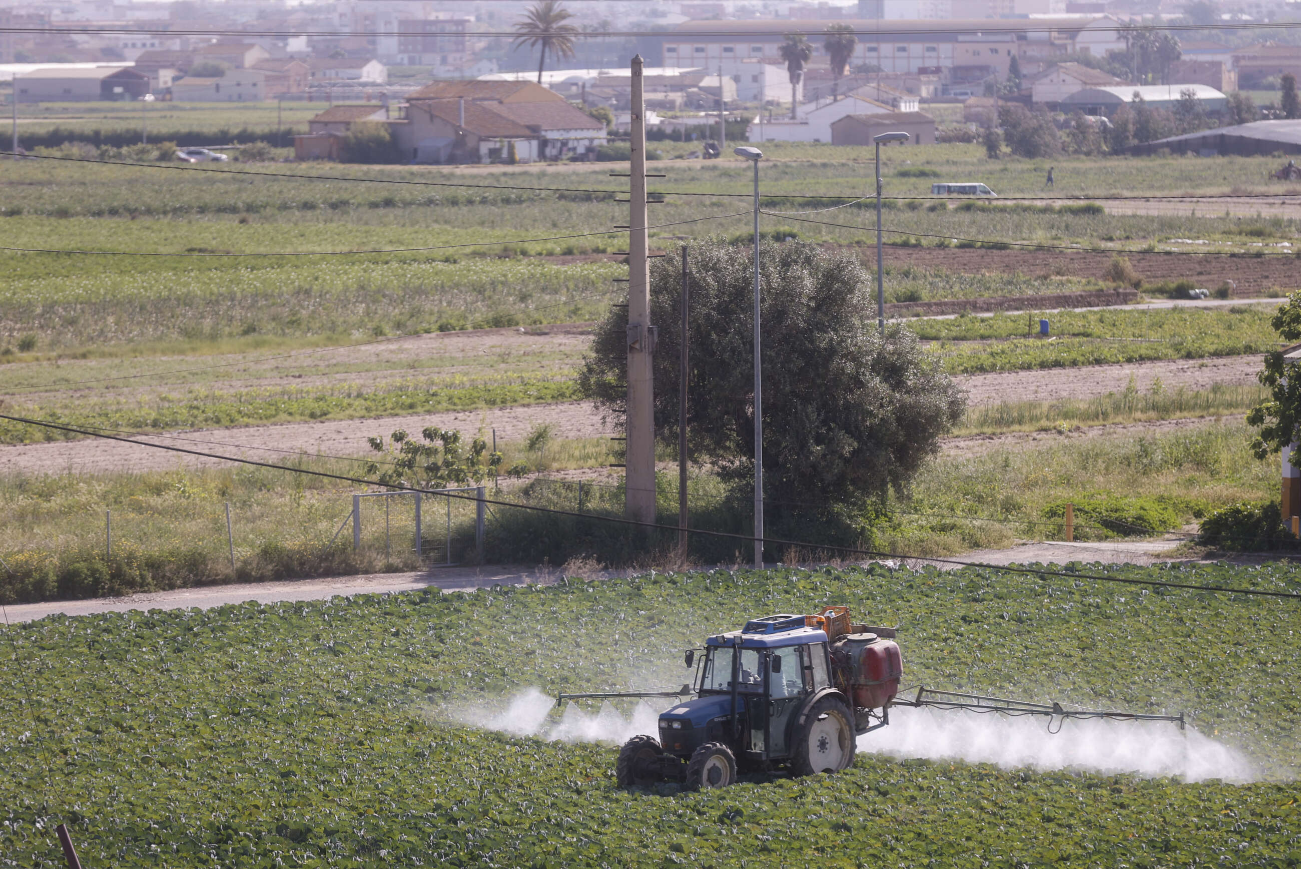 Un agricultor fumiga con su tractor un campo de hortalizas en el área metropolitana de valencia