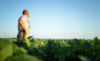 Un agricultor mira con preocupación la cosecha. Foto: Freepik.